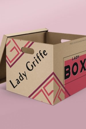 WhatsApp Image 2026-01-15 at 16.55.17andreia